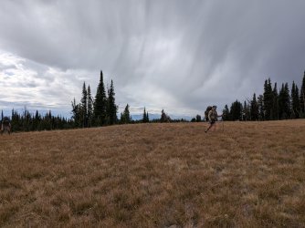 PXL_20250928_162152241.MP.jpg PXL_20250928_162152241.MP.jpg