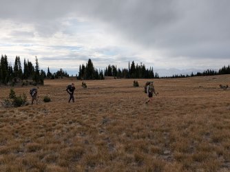 PXL_20250928_162826572.jpg PXL_20250928_162826572.jpg