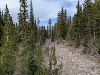 PXL_20250928_185829706.jpg PXL_20250928_185829706.jpg