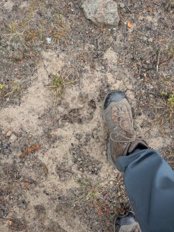 PXL_20250928_194345093.jpg PXL_20250928_194345093.jpg