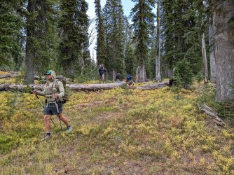 PXL_20250928_195349065.jpg PXL_20250928_195349065.jpg