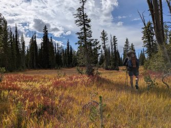 PXL_20250928_202935146.jpg PXL_20250928_202935146.jpg