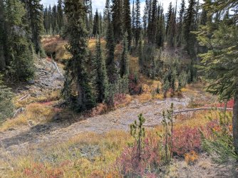 PXL_20250928_203303497.jpg PXL_20250928_203303497.jpg