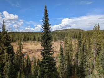 PXL_20250928_210233049.jpg PXL_20250928_210233049.jpg