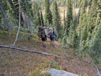 PXL_20250928_210240285.jpg PXL_20250928_210240285.jpg