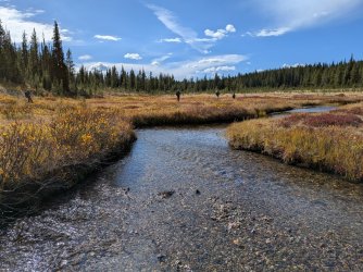 PXL_20250928_210621729.MP.jpg PXL_20250928_210621729.MP.jpg