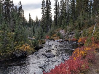 PXL_20250928_234314961.MP.jpg PXL_20250928_234314961.MP.jpg