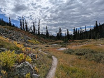 PXL_20250929_203026775.jpg PXL_20250929_203026775.jpg