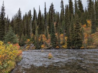 PXL_20250930_161516738.jpg PXL_20250930_161516738.jpg