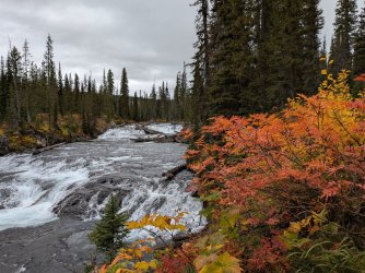 PXL_20250930_163248300.jpg PXL_20250930_163248300.jpg