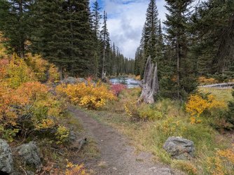 PXL_20250930_174215230.jpg PXL_20250930_174215230.jpg