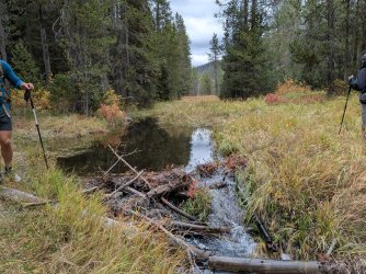 PXL_20250930_193249678.jpg PXL_20250930_193249678.jpg