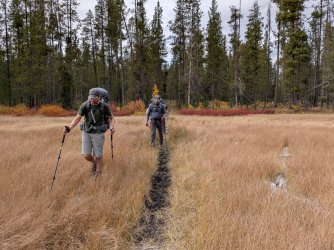 PXL_20250930_203441630.jpg PXL_20250930_203441630.jpg