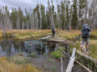 PXL_20250930_203738341.jpg PXL_20250930_203738341.jpg