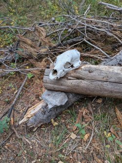 PXL_20250930_212603812.jpg PXL_20250930_212603812.jpg