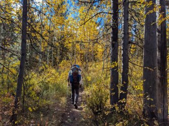 PXL_20251001_153400383.jpg PXL_20251001_153400383.jpg