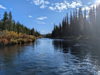 PXL_20251001_154119709.MP.jpg PXL_20251001_154119709.MP.jpg