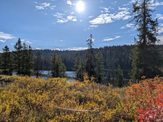 PXL_20251001_160754414.MP.jpg PXL_20251001_160754414.MP.jpg