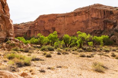 Horseshoe 3-2026-09940.jpg