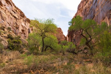 Horseshoe 3-2026-09961.jpg