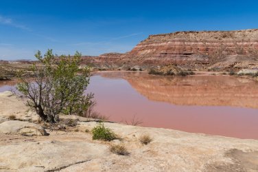 Horseshoe 3-2026-09995.jpg