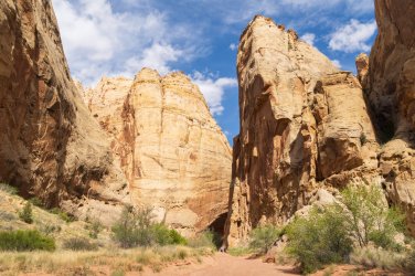 CRNP 4-2026-00073.jpg