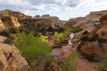 CRNP 4-2026-00016.jpg