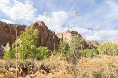 CRNP 4-2026-00061.jpg