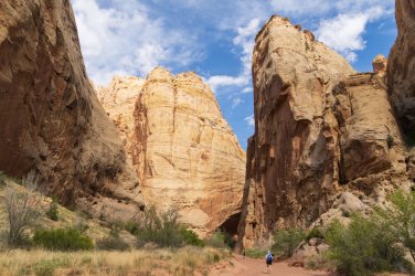 CRNP 4-2026-00069.jpg