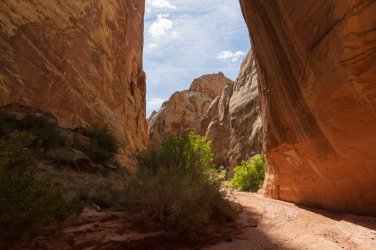 CRNP 4-2026-00074.jpg