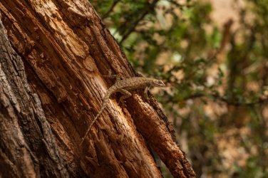 CRNP 4-2026-00085.jpg