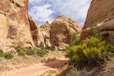 CRNP 4-2026-00102.jpg