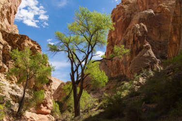 CRNP 4-2026-00112.jpg