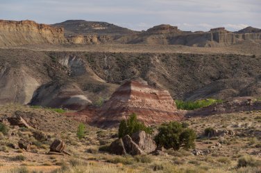 CRNP 4-2026-00124.jpg