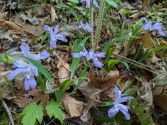 2026-04-22 10.23.16.jpg