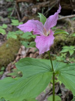 2026-04-22 10.24.47.jpg