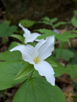 2026-04-22 10.26.36.jpg