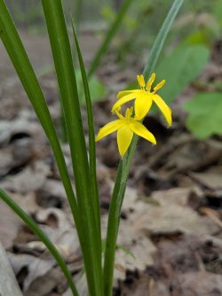 2026-04-22 10.58.19.jpg