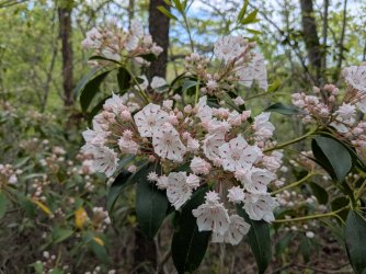 2026-04-22 11.52.01.jpg