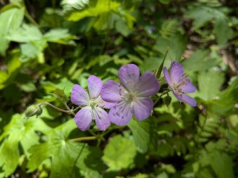 2026-04-22 14.38.20.jpg