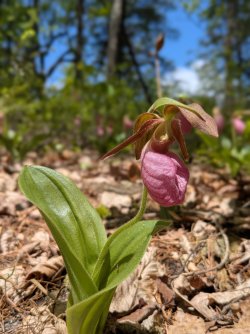 2026-04-22 13.28.00.jpg