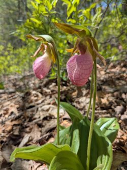 2026-04-22 13.26.56.jpg