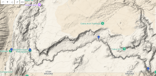 Capture buckskin.PNG