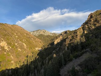 IMG_1341.jpg