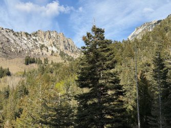 IMG_1337.jpg
