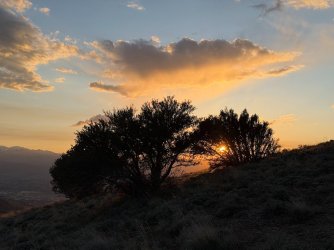IMG_1362.jpg