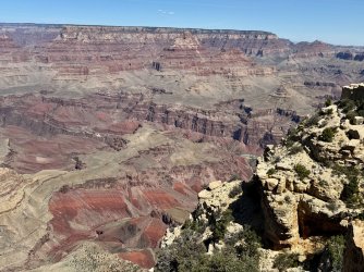 IMG_2301.jpeg