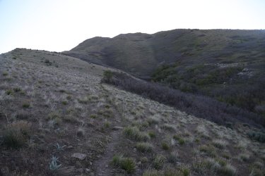 07.jpg