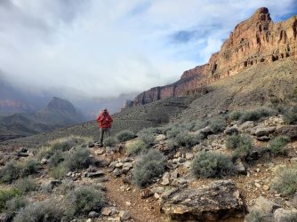 grandcanyon.jpg