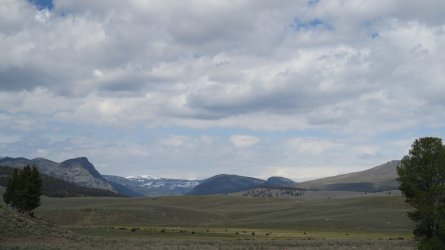 IMG_2173.JPG